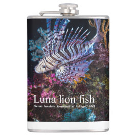 Petaca Elegante Lionfish