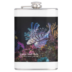 Petaca Elegante Lionfish