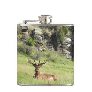 Petaca Estadios de Nueva Zelanda