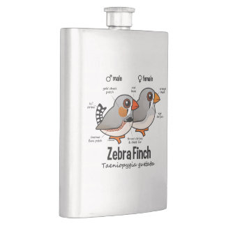 Petaca Estadísticas del pinzón de cebra