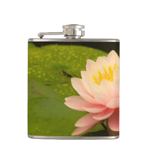 Petaca Estados Unidos, Maryland, Westminster, Unión 2