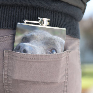Petaca Feliz Staffordshire Bull Terrier, Hip Flask