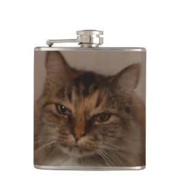Petaca Flask de gato