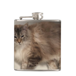 Petaca Flask de gato