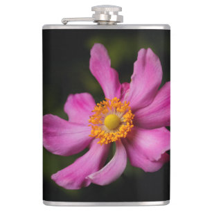 Petaca Flor anémica japonesa rosa "Prinz Heinrich"