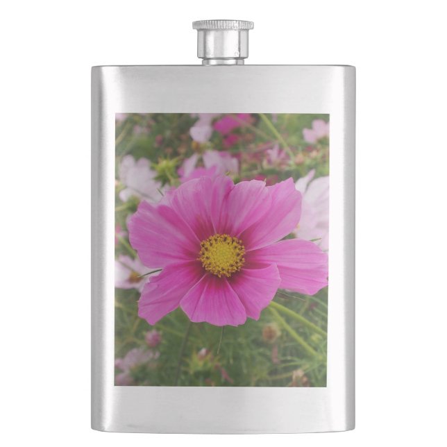 Petaca Flor Cosmos rosa bonito (Anverso)