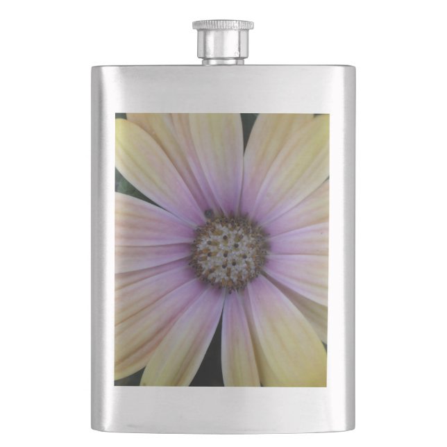 Petaca Flor de margarita amarilla y morada (Anverso)