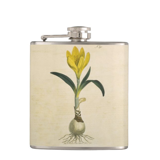 Petaca Flor Jardín Botánico Amaryllis Tulip (Anverso)