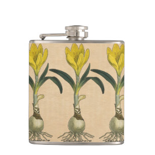 Petaca Flor Jardín Botánico Amaryllis Tulip