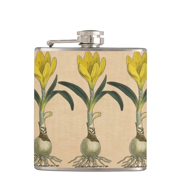 Petaca Flor Jardín Botánico Amaryllis Tulip (Anverso)