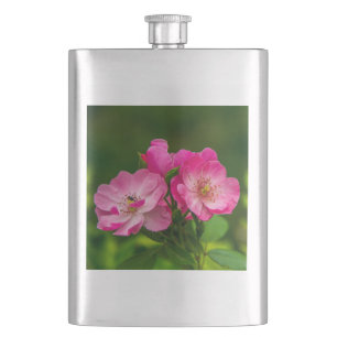 Petaca Flores de rosa silvestre rosa Fotografía Diseño-52