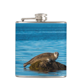 Petaca Foca de puerto Atlántico