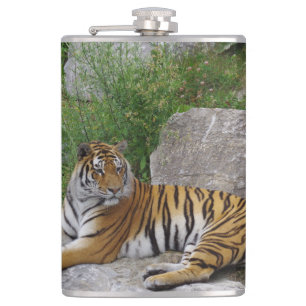 Petaca Foto de retrato de un tigre siberiano