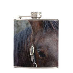Petaca Foto del caballo