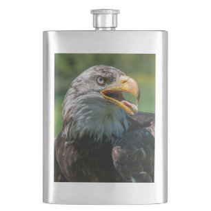 Petaca fotografía de águila