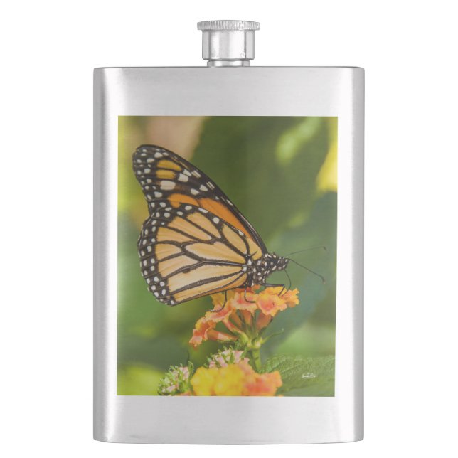 Petaca fotografía de una mariposa sobre una flor (Anverso)