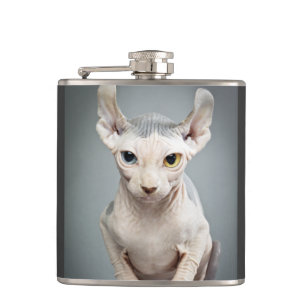Petaca Fotografía del gato de la esfinge del duende
