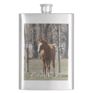 Petaca Frasco del caballo de la castaña