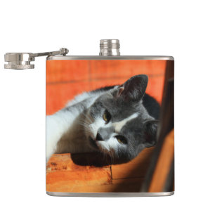 Petaca Gatito