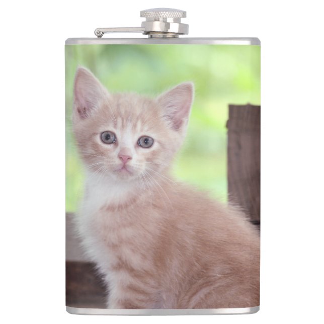 Petaca Gatito (Anverso)