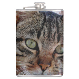 Petaca Gato espacial