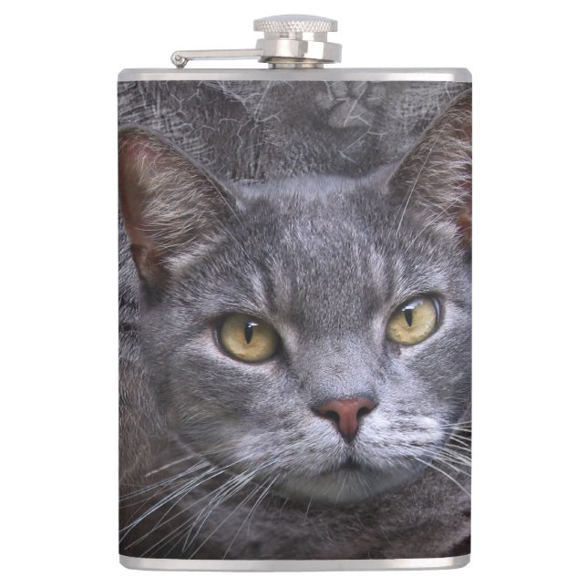 Petaca Gato gris (Anverso)