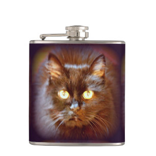 Petaca gato negro