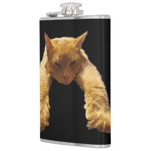 Petaca Gato perezoso jengibre, máscara de cadera