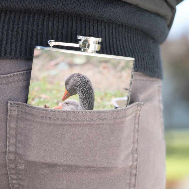 Petaca Geese (In Situ)