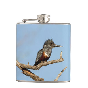 Petaca Giant Kingfisher