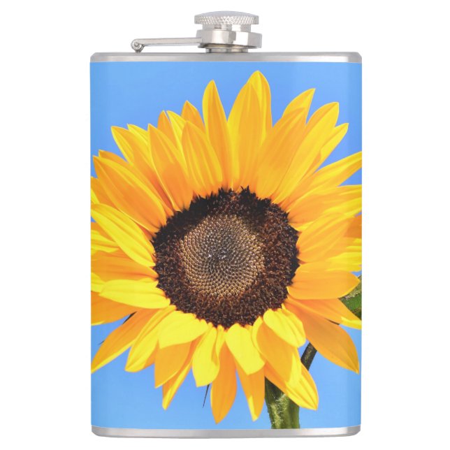 Petaca Girasol amarillo contra el sol en la máscara azul  (Anverso)