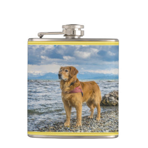 Petaca Golden retriever que se coloca en el océano azul