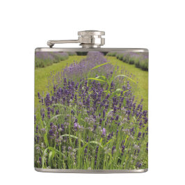 Petaca Granja de lavanda Seafoam