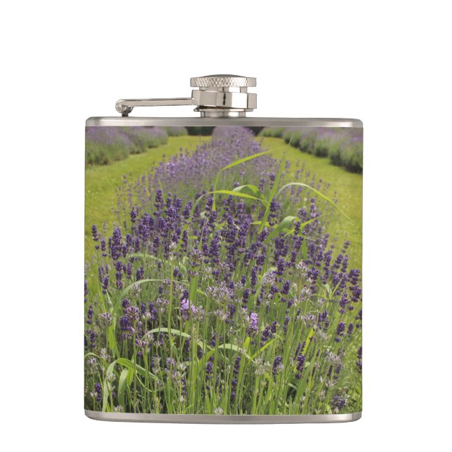 Petaca Granja de lavanda Seafoam (Anverso)