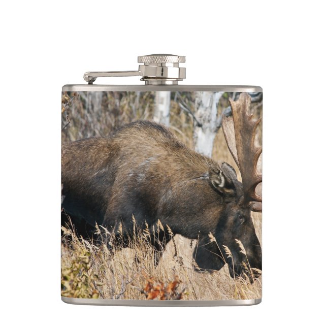 Petaca Grazing Bull Moose (Anverso)