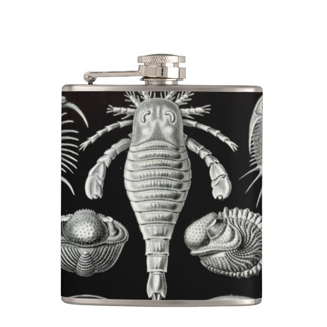 Petaca Haeckel Aspidonia (Anverso)