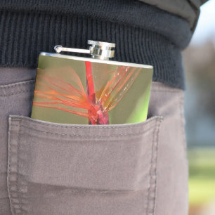 Petaca Hermosa pintura acrílica con dragón de piratas