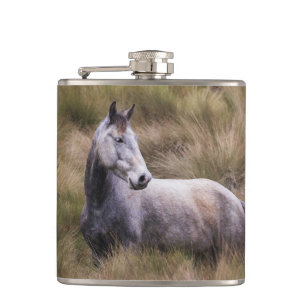 Petaca Hermoso caballo de color gris