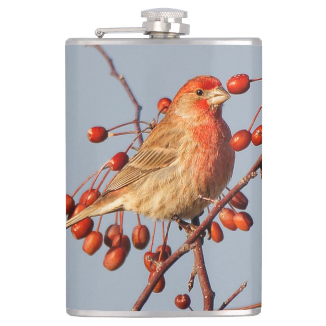 Petaca House Finch con Hawthorn Berries (Anverso)