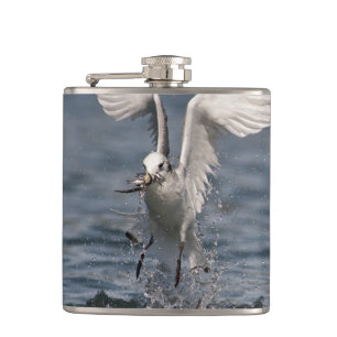 Petaca Hovering Kittiwake