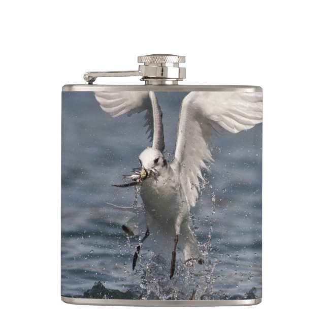 Petaca Hovering Kittiwake (Anverso)