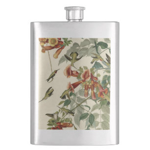 Petaca Hummingbird Ruby Throated Audubon