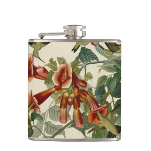 Petaca Hummingbird Ruby Throated Audubon