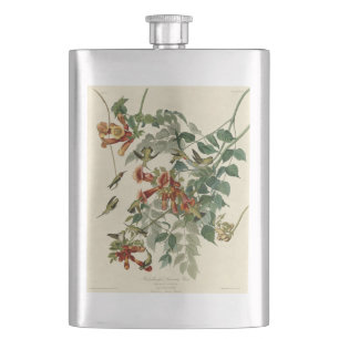 Petaca Hummingbird Ruby Throated Audubon