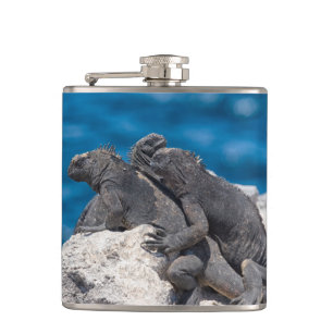 Petaca Iguana marina
