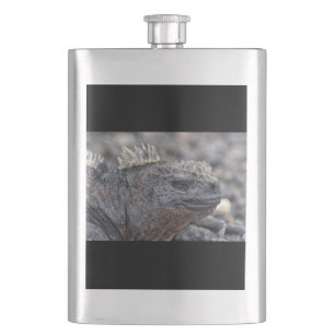 Petaca Iguana marina