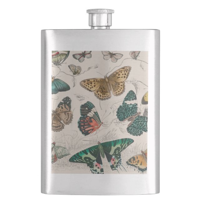Petaca Ilustración antigua de mariposa: Orfebre de 1820 (Anverso)