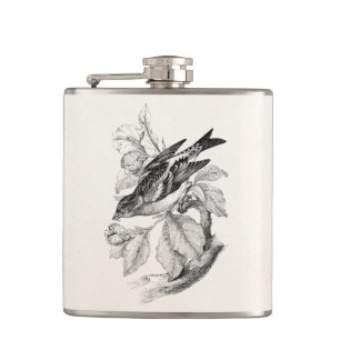Petaca Ilustracion del pájaro del pinzón de la montaña