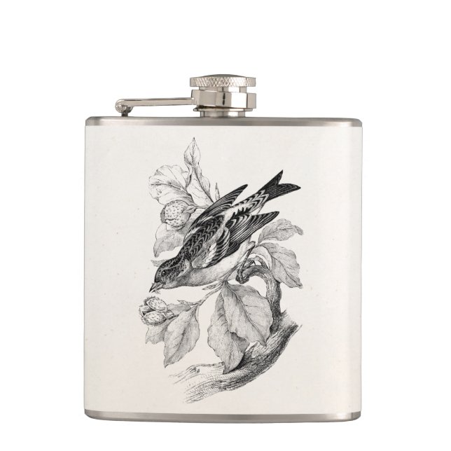 Petaca Ilustracion del pájaro del pinzón de la montaña de (Anverso)
