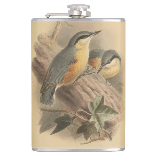 Petaca Ilustracion vintage de Nuthatch (Anverso)
